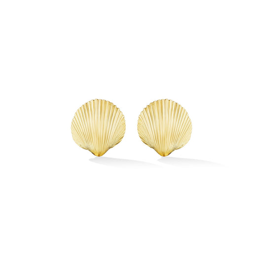 Small Yellow Gold Shell Stud Earrings - Cadar