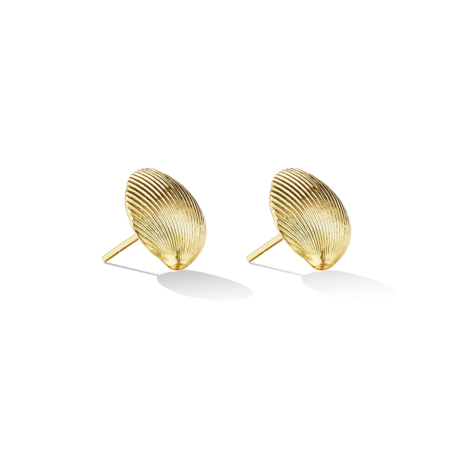 Small Yellow Gold Shell Stud Earrings - Cadar