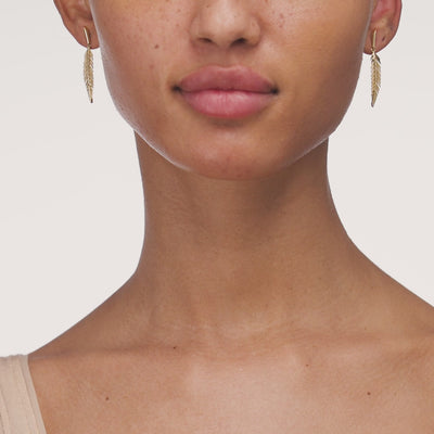 Small 18k yellow gold feather earrings