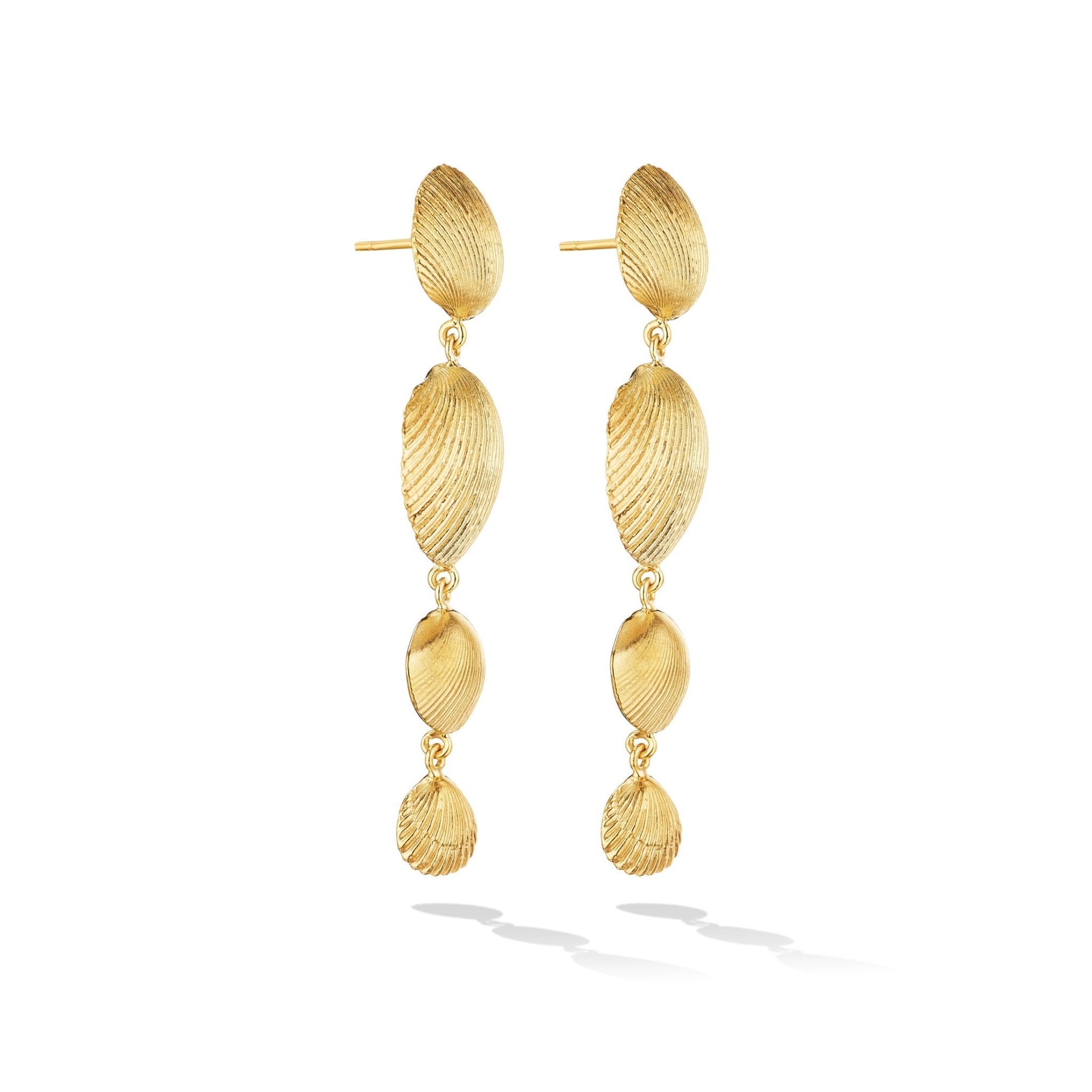 Yaari Collections Stylish Shell Earrings For Women or Girls - Yaari  Collections