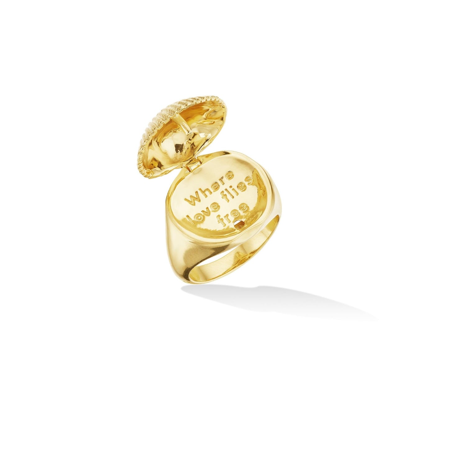 Yellow Gold Shell Pinky Ring - Cadar