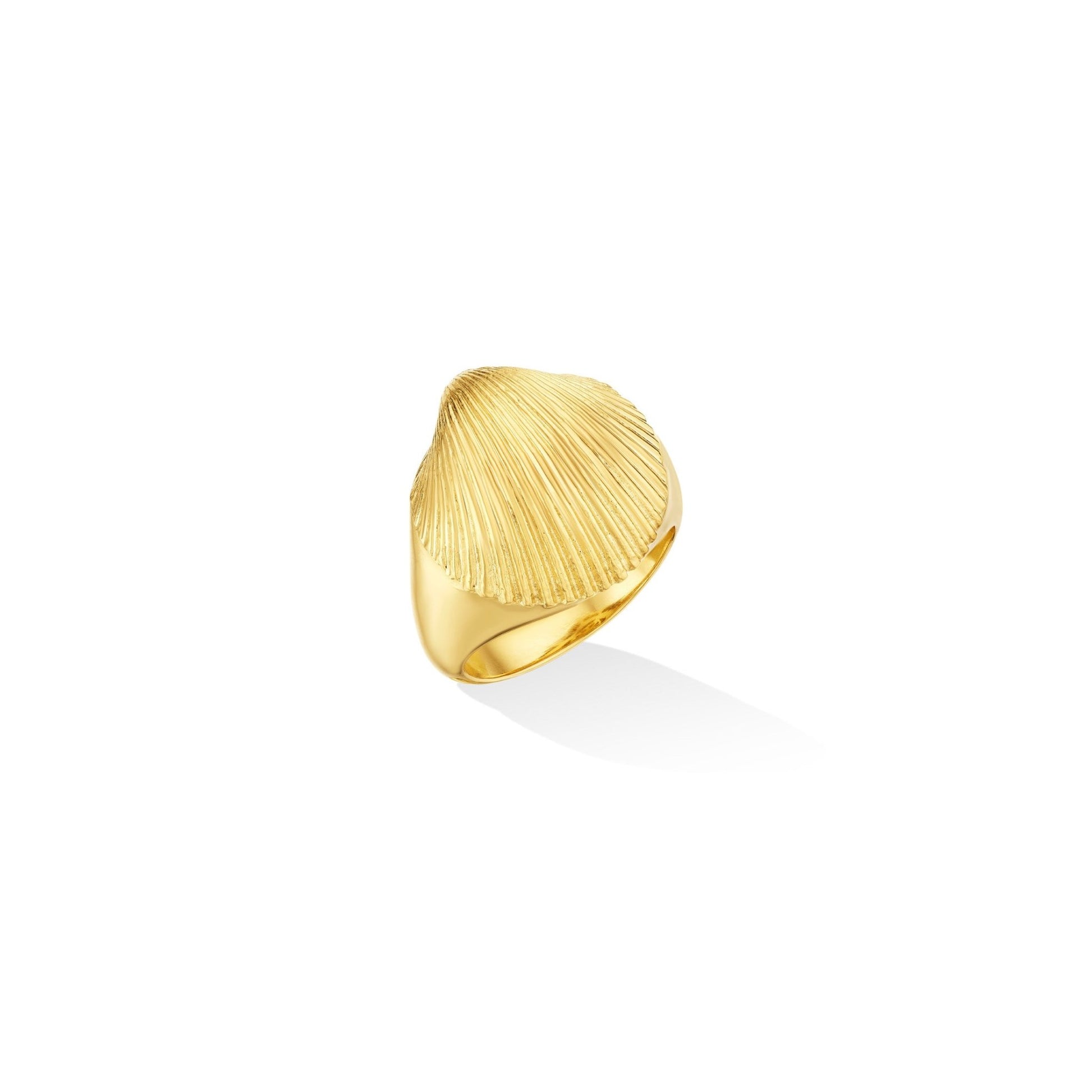 Yellow Gold Shell Pinky Ring - Cadar